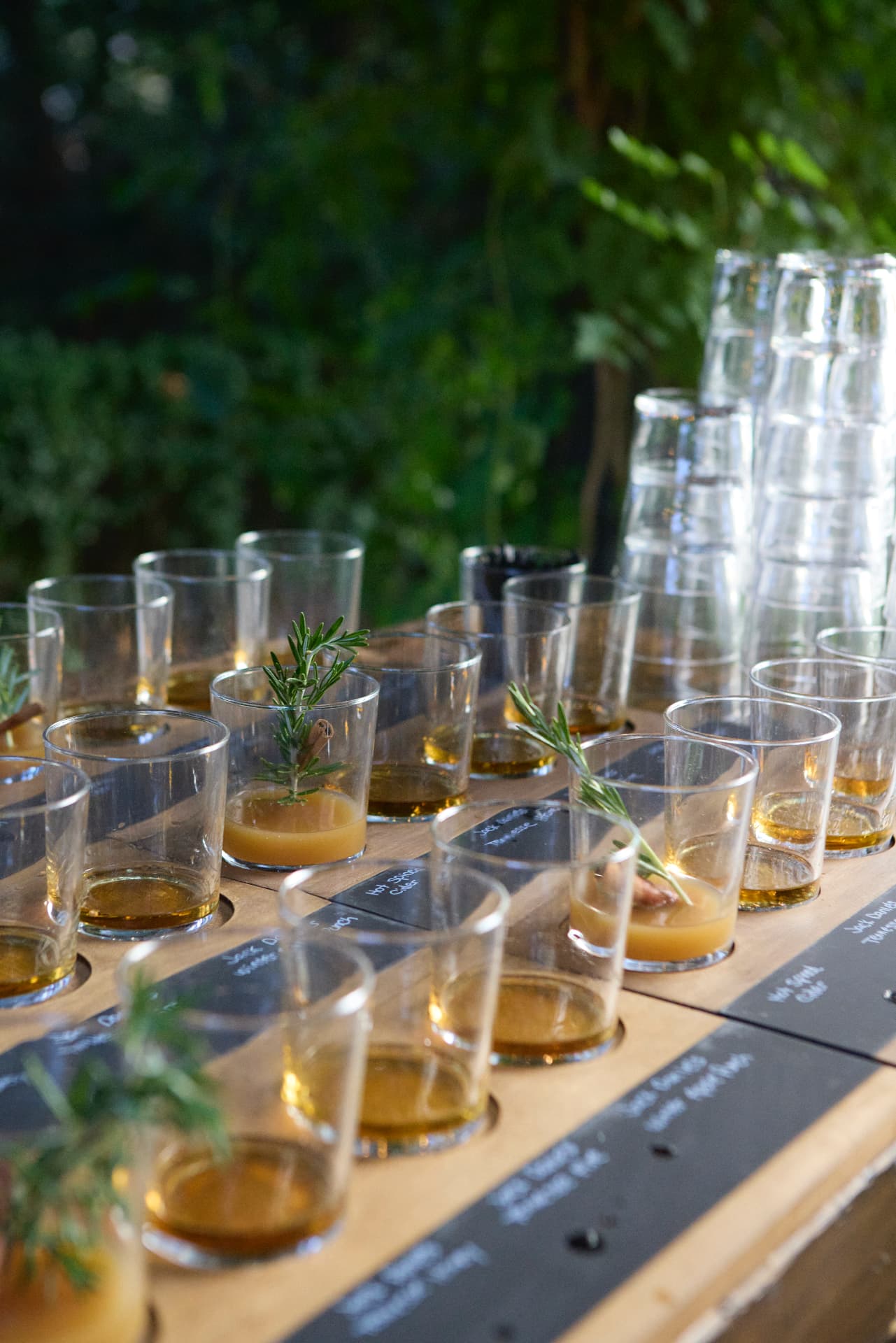 Whiskey tasting glasses garnished with rosemary