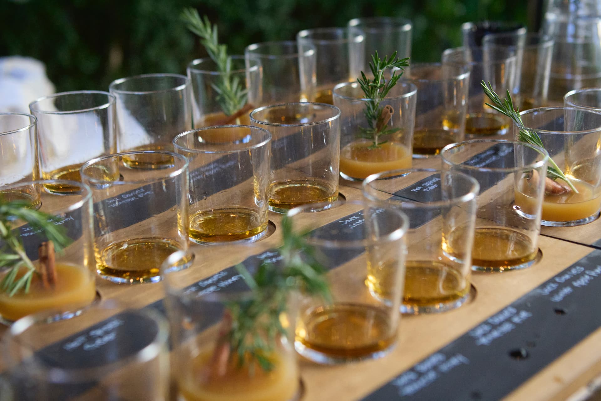 Rosemary-garnished tasting flight glasses