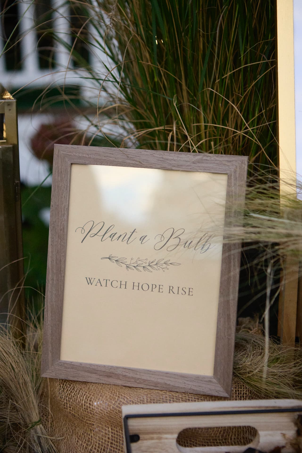 The Plant a Bulb, Watch Hope Rise station